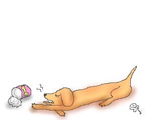 inu02.jpg