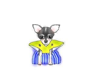 inu05.jpg