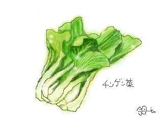 チンゲン菜