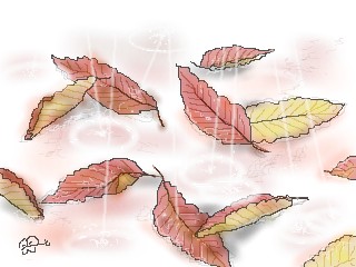 秋の雨