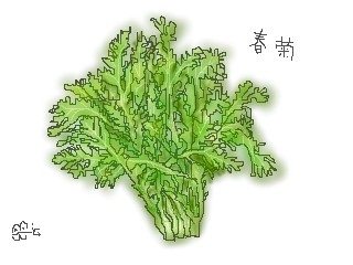 春菊