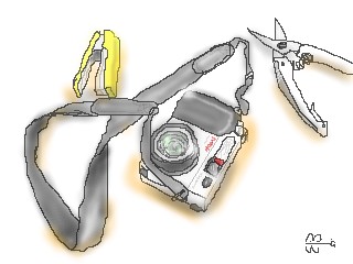 オリンパス
