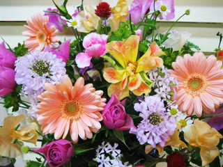 春の花