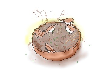 すずめ