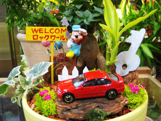 デコプランツ