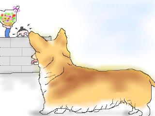 ウェルシュコギ