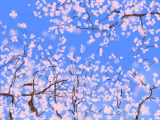 桜