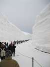 IMG_0603tateyama1