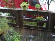 大雨