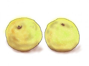 100907b