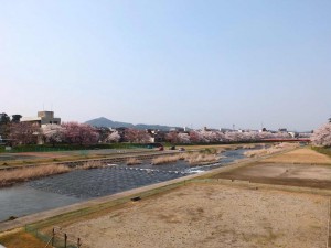 3609d911-72f7-4257-b290-5c759930ebe3