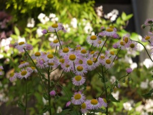 43333351-9a01-4d73-8ea9-7bee1785435a