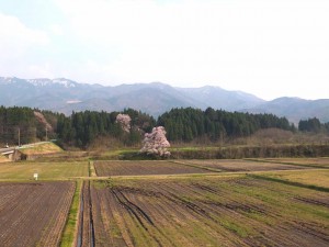 7443c2f0-6a68-4347-abe9-7a6019dd8f56