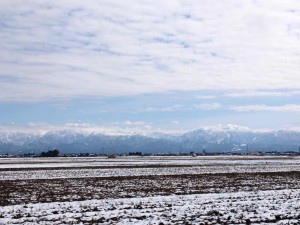 9a64ff88-5961-4aea-b95f-ddf753aaaea3