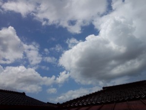 dcf00131-800x600