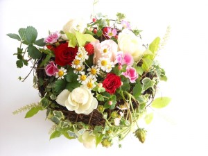 dscn0194-800x600