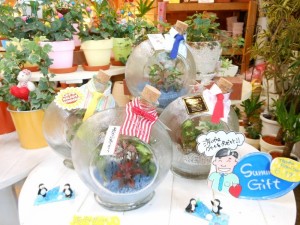 dscn0253-800x600