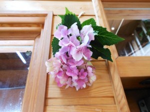 dscn0486-800x600