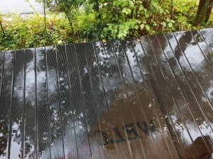 dscn0755-800x600