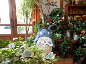 dscn0846-800x600