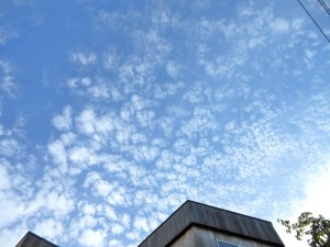 dscn0948-800x600