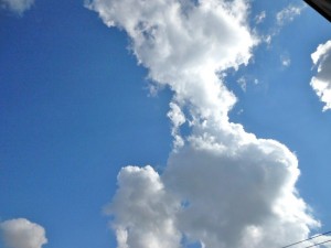 dscn1213-800x600