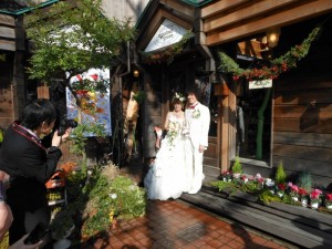 dscn1520-800x600