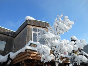 dscn2078-800x600