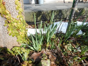 dscn2222-800x600
