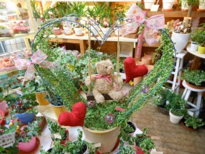 dscn2228-800x600