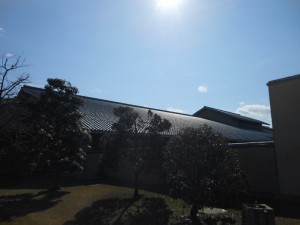 dscn2378-800x600