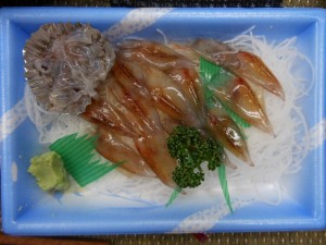 dscn2438-800x600