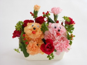 dscn2513-800x600