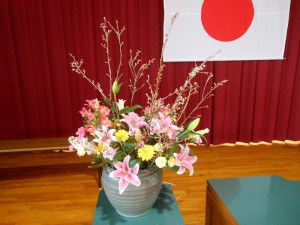 dscn2544-800x600