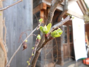 dscn2564-800x600