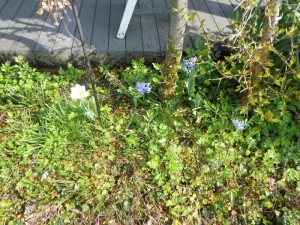 dscn2643-800x600