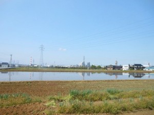 dscn2743-800x600