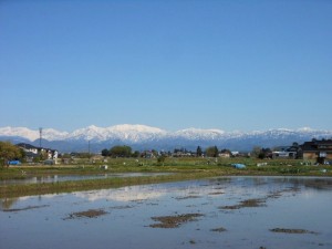 dscn2768-800x600