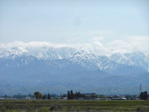 dscn2812-800x600