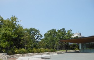 dscn3043-800x516