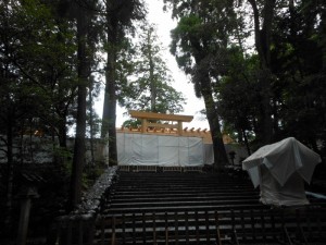dscn3085-800x600