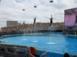 dscn3109-800x600