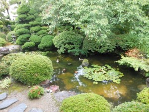 dscn3241-800x600