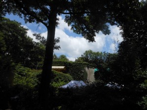 dscn3333-800x600