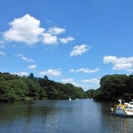 dscn3355-800x600