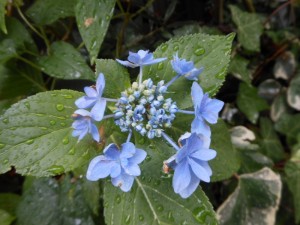 dscn3483-800x600