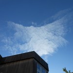 dscn3537-800x600