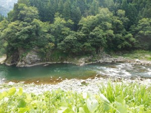 dscn3541-800x600