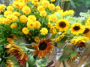dscn3549-800x600