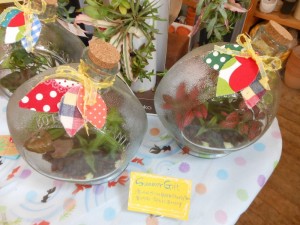 dscn3591-800x600